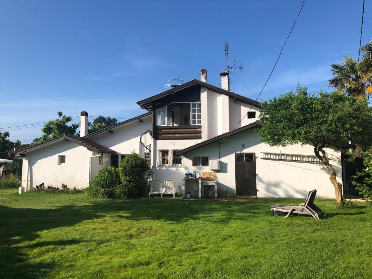 Villa Orcas 莱昂 外观 照片
