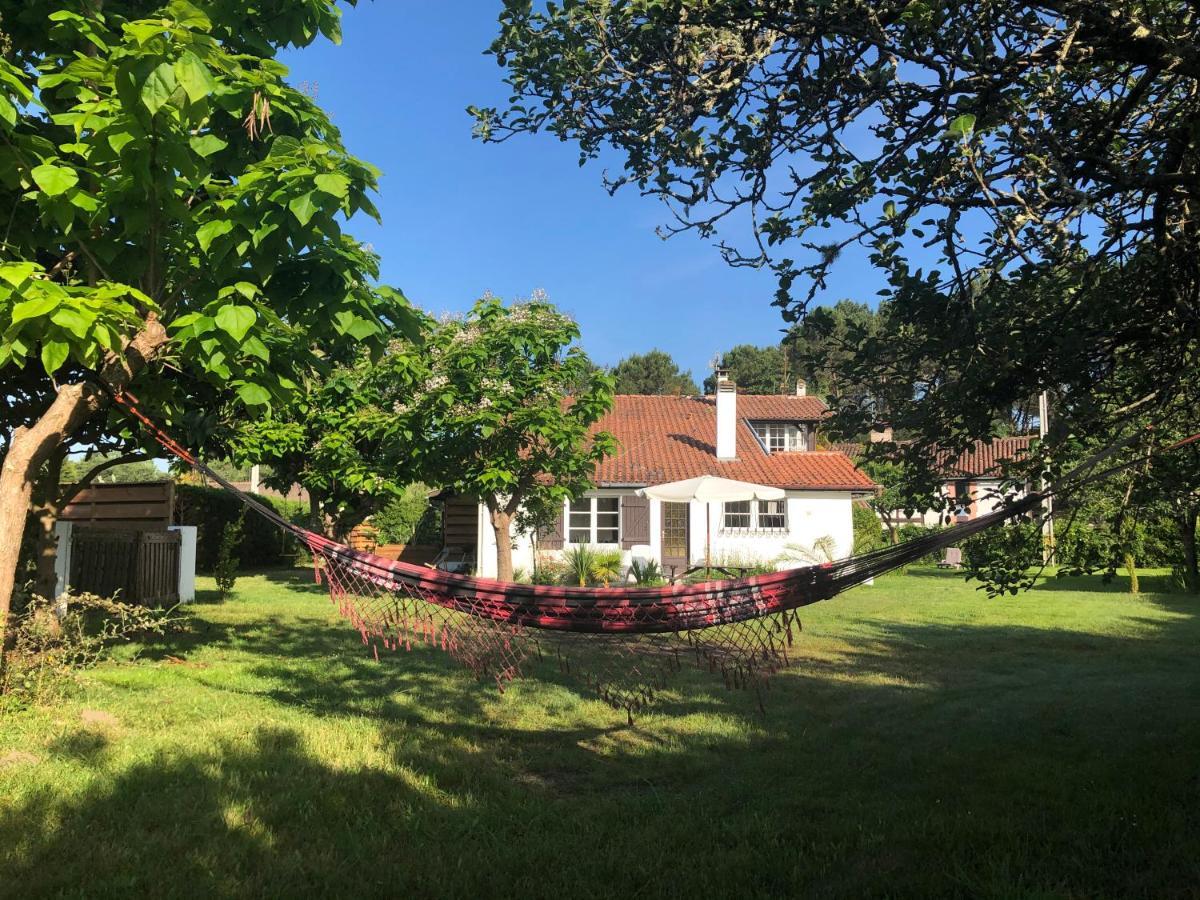 Villa Orcas 莱昂 外观 照片