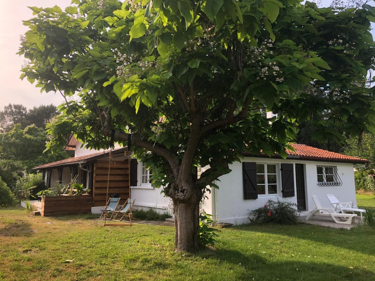 Villa Orcas 莱昂 外观 照片