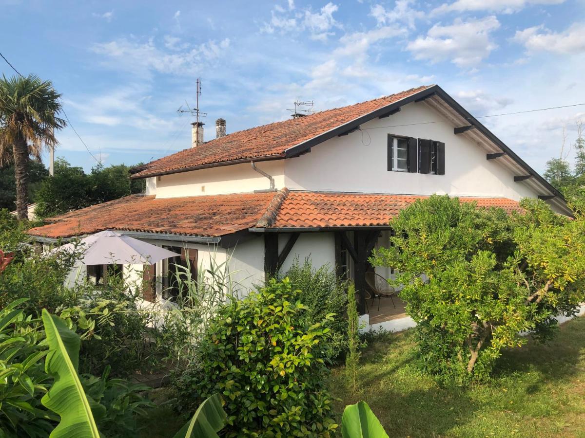 Villa Orcas 莱昂 外观 照片